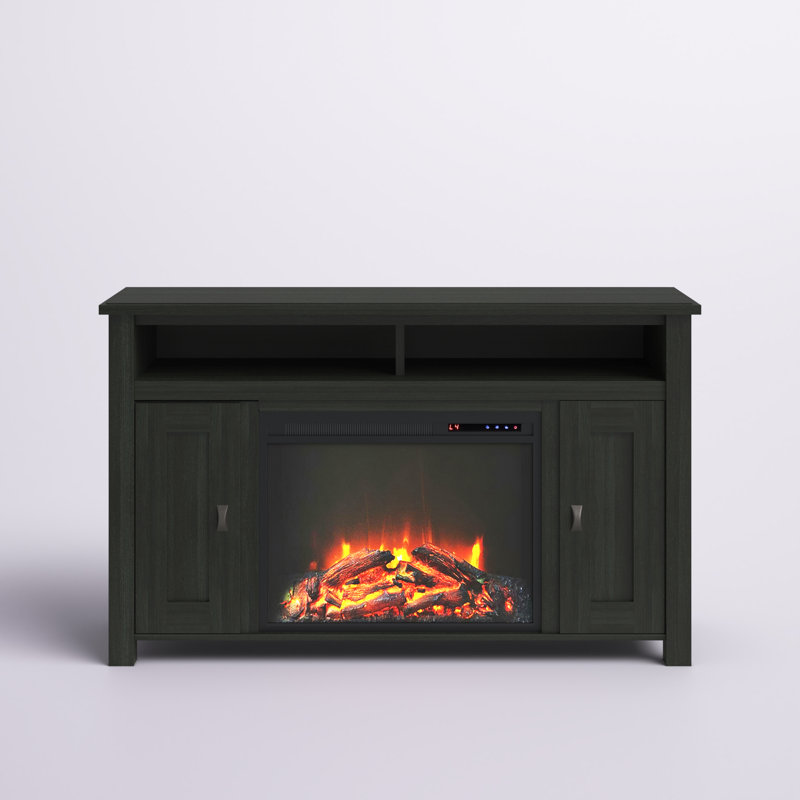 Mistana™ Whittier TV Stand for TVs up to 50" with Fireplace Included